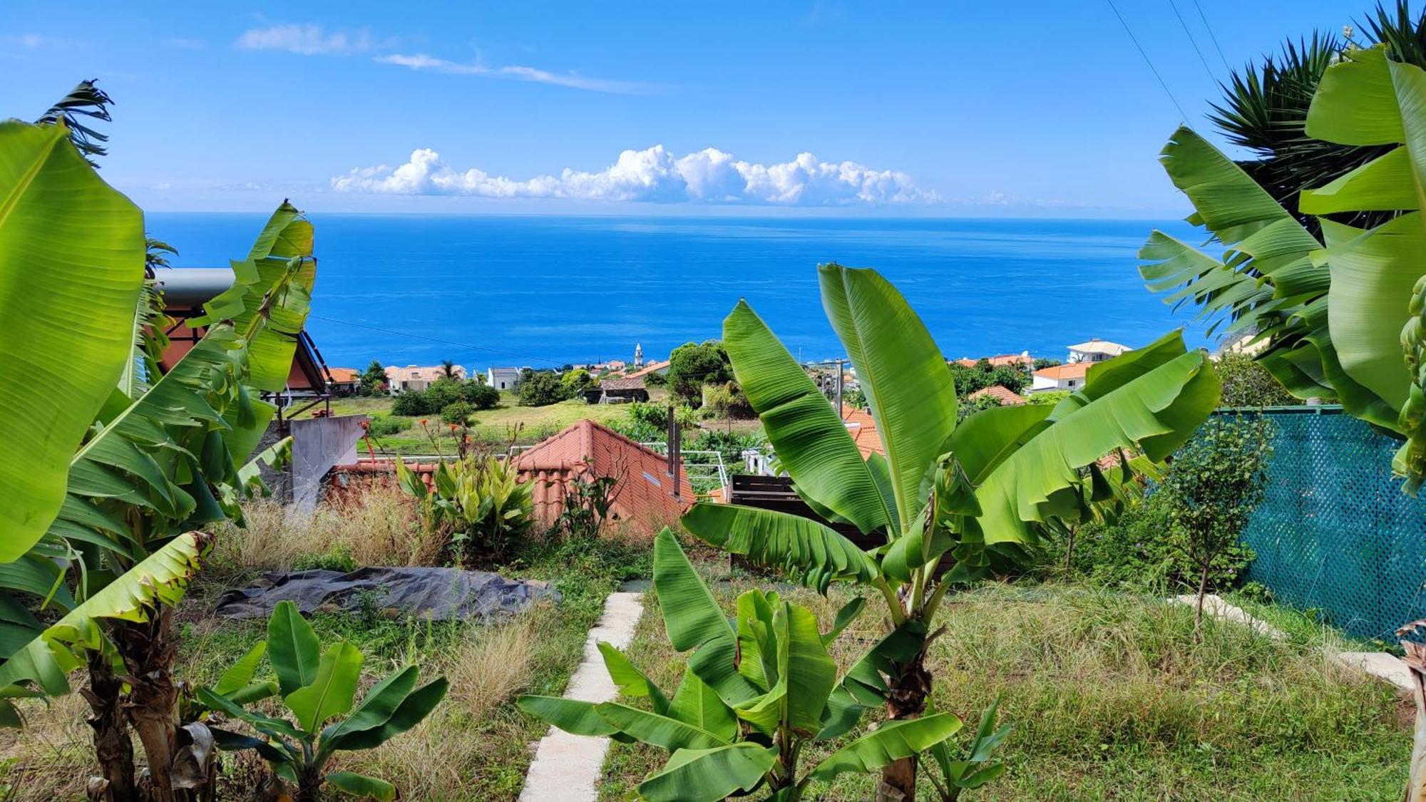 Vista Romantica Madeira Arco da Calheta  Εξωτερικό φωτογραφία