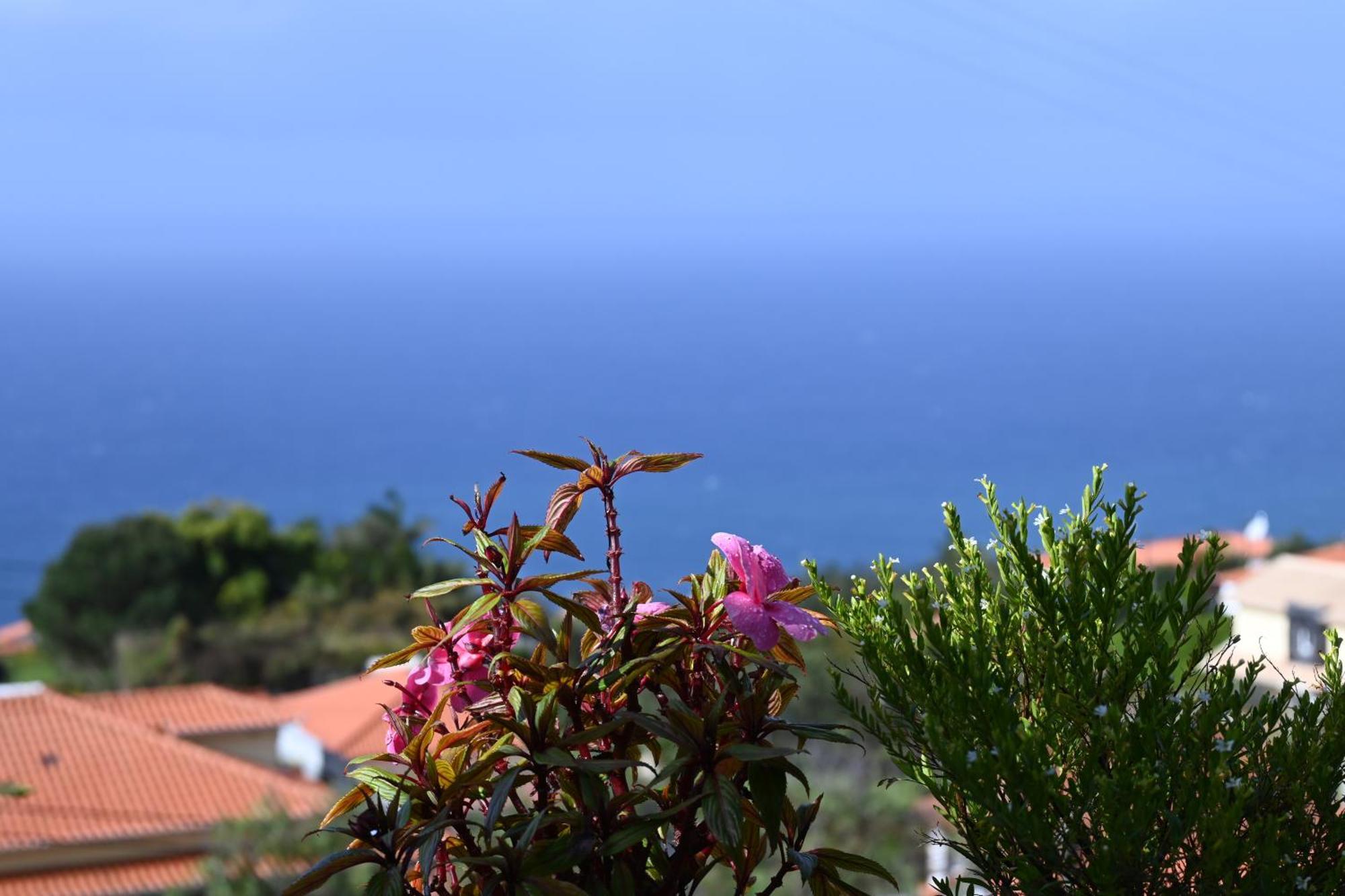 Vista Romantica Madeira Arco da Calheta  Εξωτερικό φωτογραφία